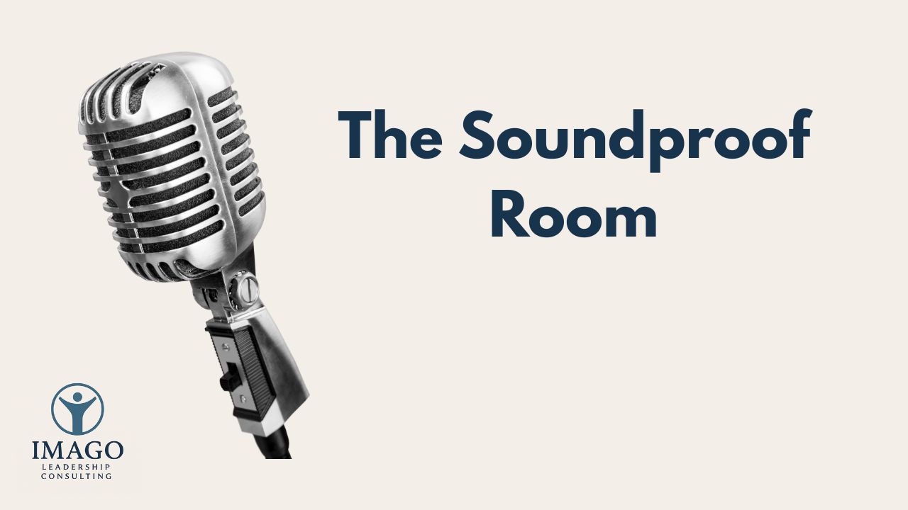 Vlog: The Soundproof Room