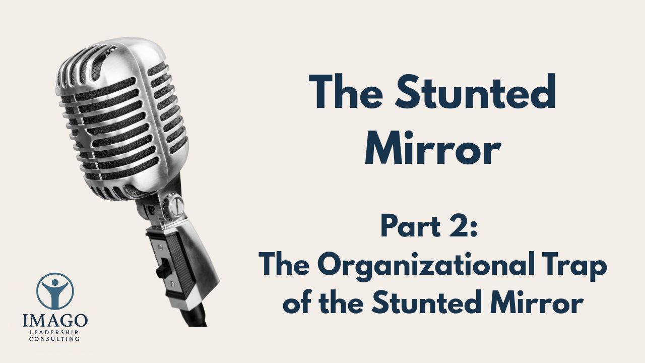 Vlog: The Organizational Trap of The Stunted Mirror