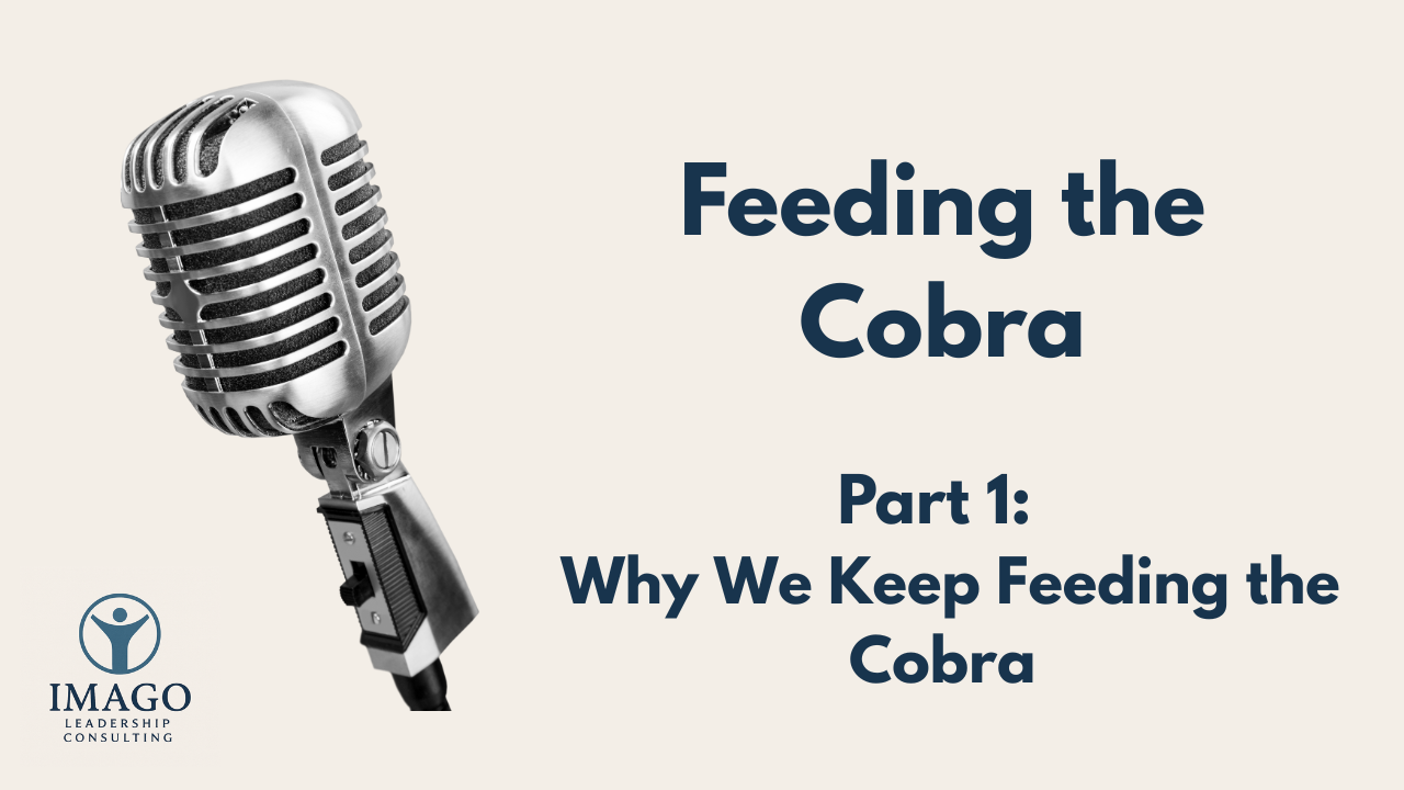 Why We Keep Feeding the Cobra