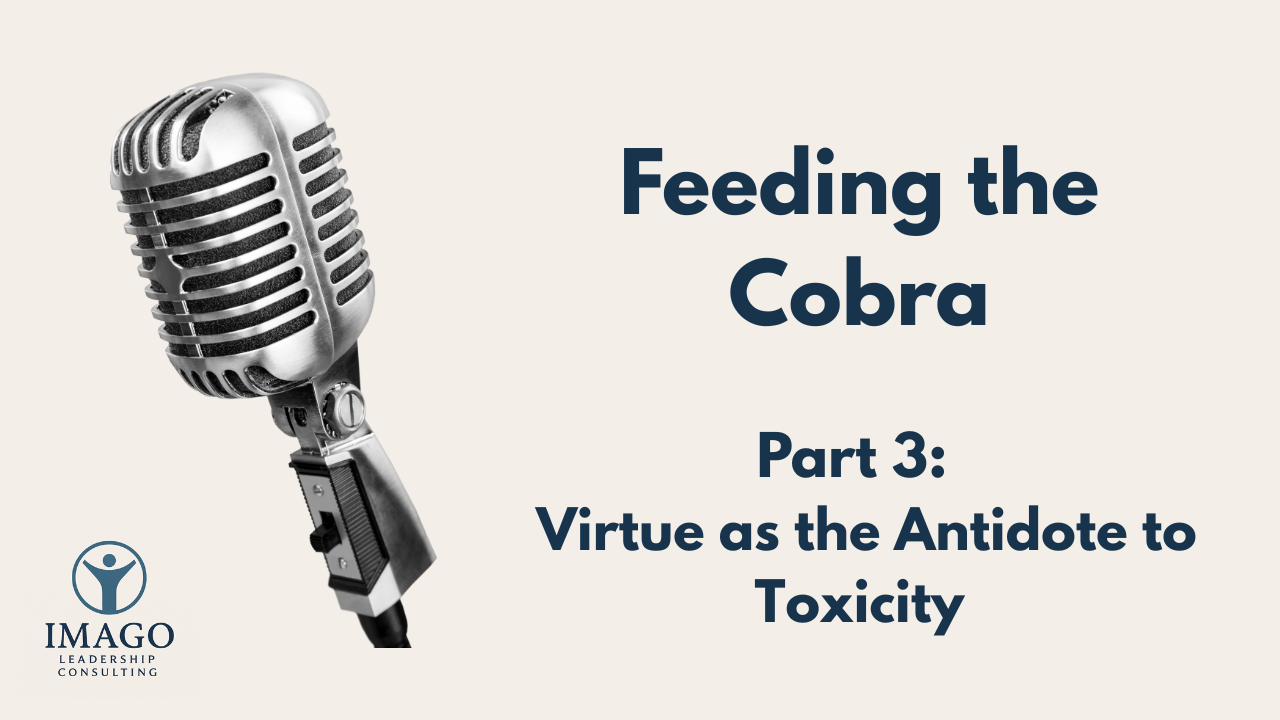 Virtue as the Antidote to Toxicity